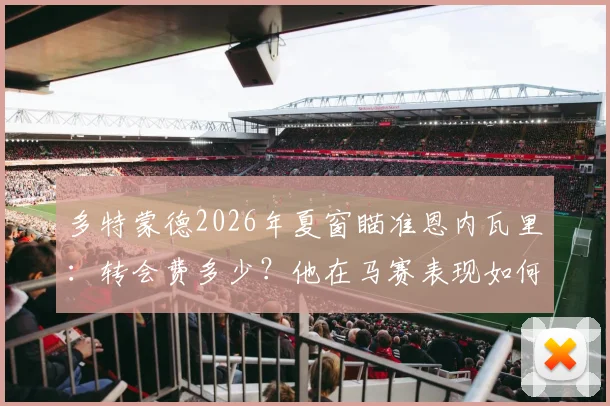 多特蒙德2026年夏窗瞄准恩内瓦里：转会费多少？他在马赛表现如何？技术特点适配性分析